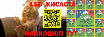 тгк Шебекино