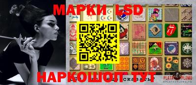 тгк Шебекино