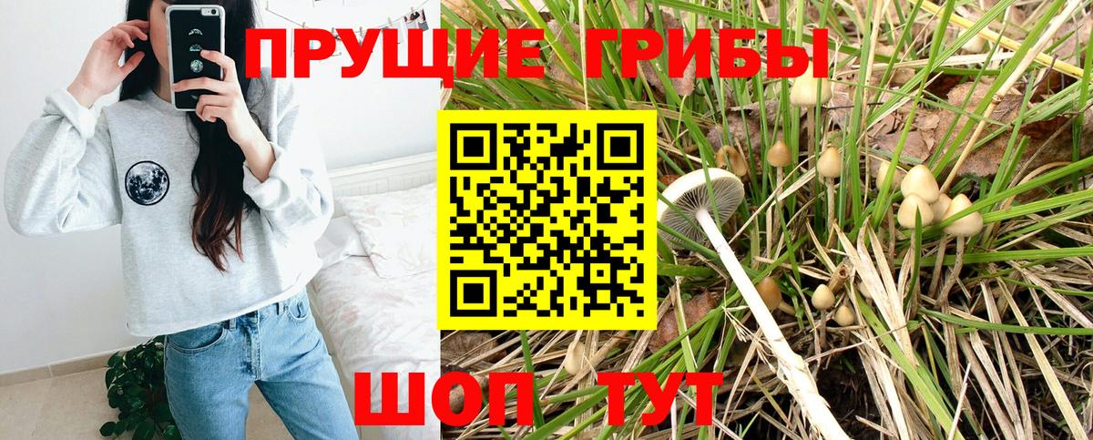 Галлюциногенные грибы прущие грибы  Вход с VPN  Галлюциногенные грибы Magic Shrooms  Верхняя Пышма 