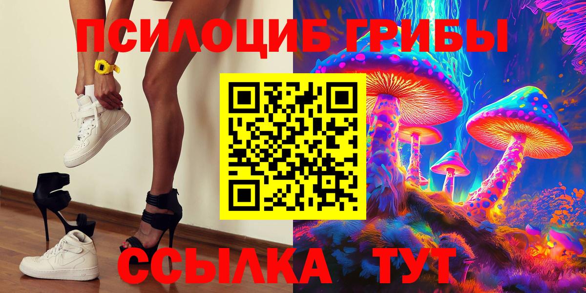 Псилоцибиновые грибы прущие грибы Верхняя Пышма